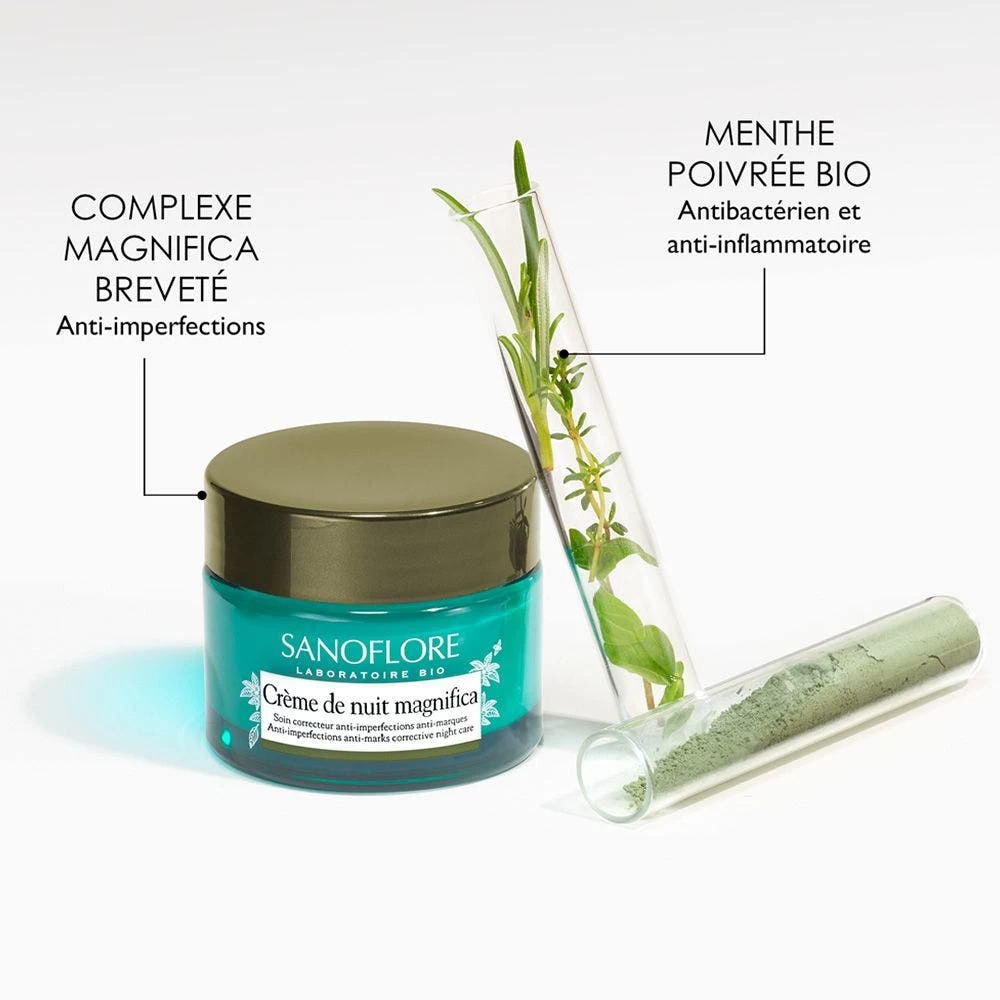 Crema Notte Agli Oli Essenziali Biologici 50ml Magnifica Pelle Grassa Con Tendenza All'acne Sanoflore 4 Crema Notte Agli Oli Essenziali Biologici 50ml Magnifica Pelle Grassa Con Tendenza All'acne Sanoflore - immagine 4