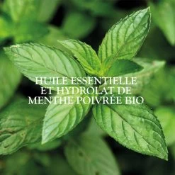 Lozione Viso Oli Essenziali 400ml Magnifica Peau Grasse Tendance Acnéique Sanoflore -Negozi di cosmetici 81475